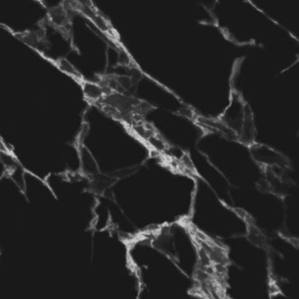 Фартук кухонный 3000х600х1,5мм Крестола Black 546